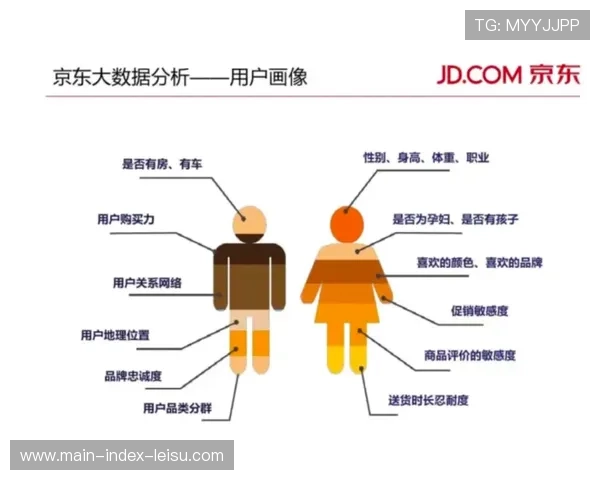 大数据用户画像系统优化,驱动内容个性化。